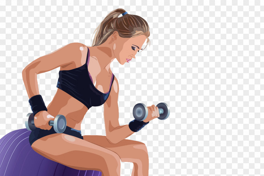 Fitness Beauty Physical Exercise Woman Euclidean Vector PNG