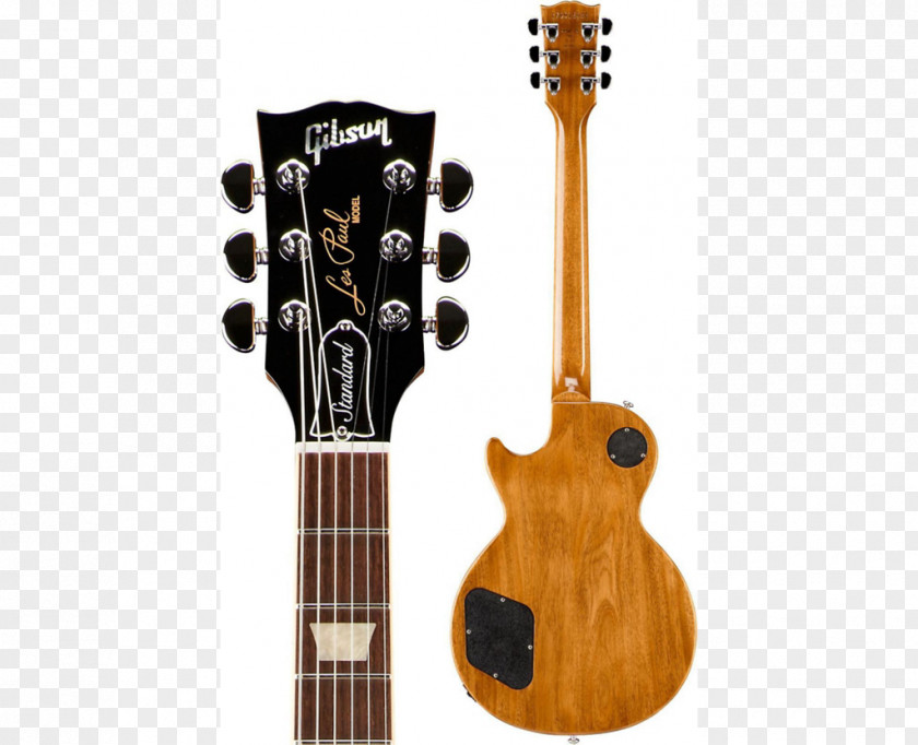 Flame Steller Gibson Les Paul Electric Guitar Guitalele Acoustic PNG