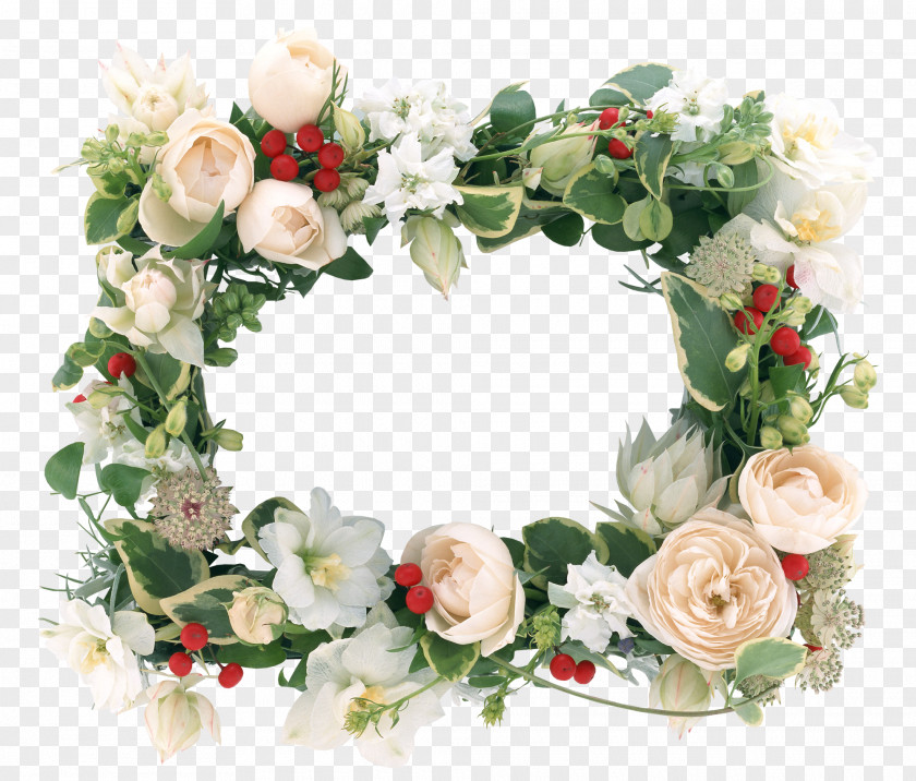 Flower Picture Frames Paper Photography PNG
