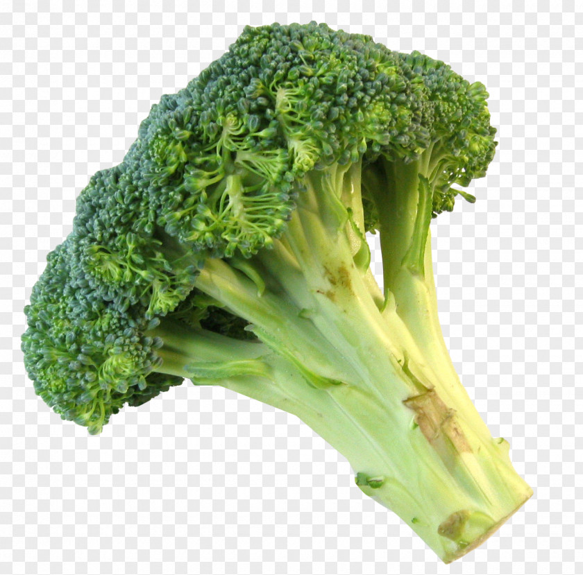 Fresh Broccoli Slaw Vegetable Food PNG