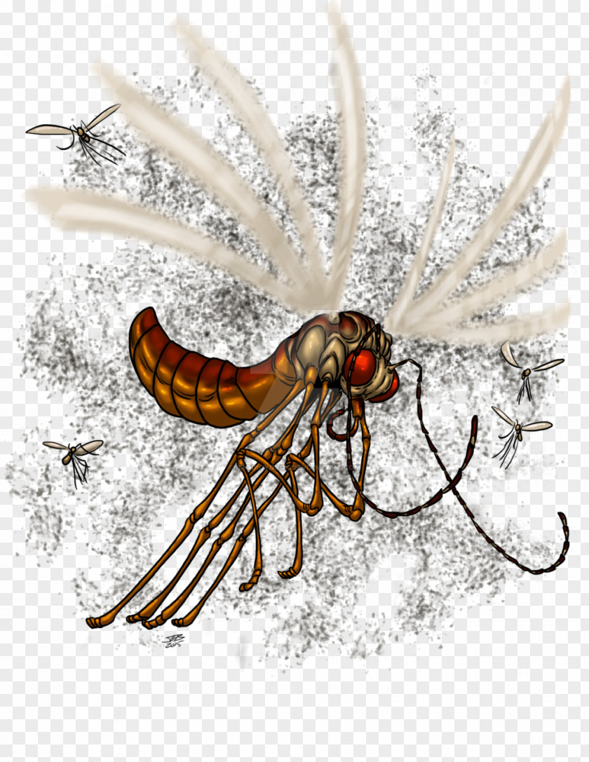 Insect Honey Bee Concept Art PNG