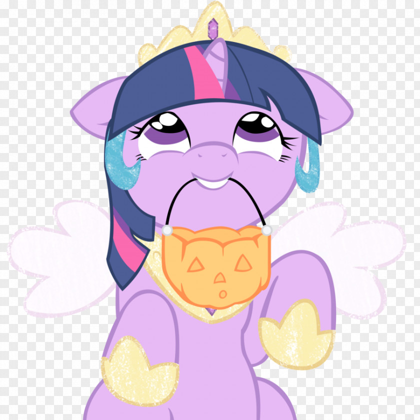 Sparkle Vector Twilight Pony Princess Celestia Pinkie Pie Rainbow Dash PNG