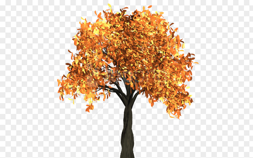 Twig Flower Autumn Tree Branch PNG