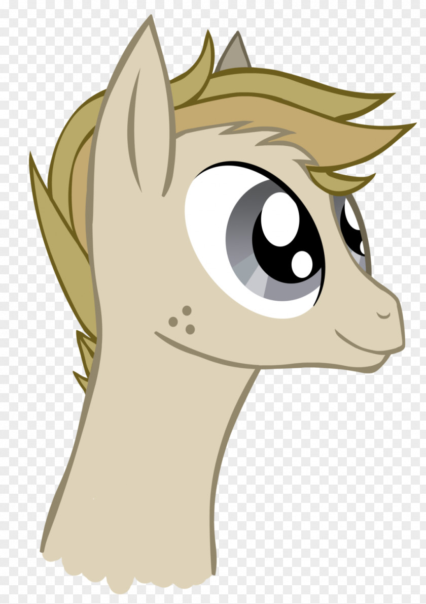 Cat Horse Pony Snout PNG