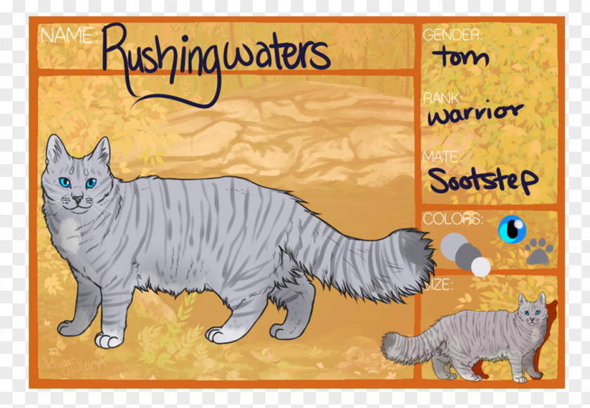 Cat Whiskers Domestic Short-haired Tabby Illustration PNG