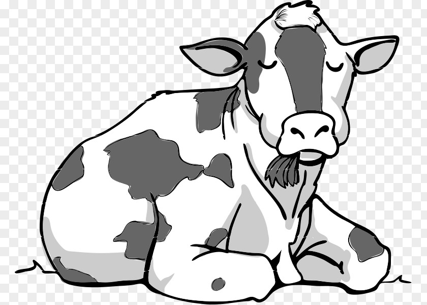 Cow Vector Cattle Drawing Clip Art PNG