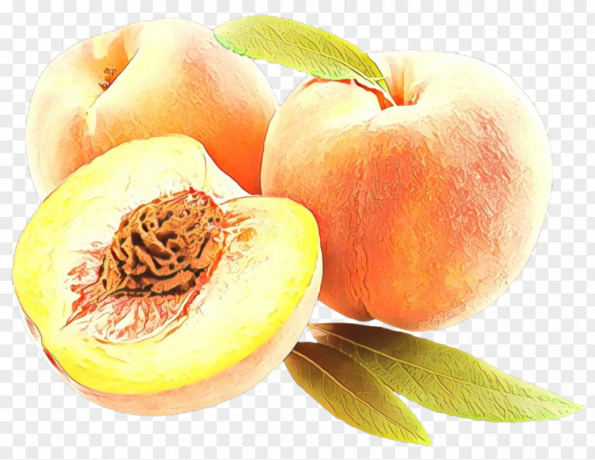 Ingredient Superfruit Fruit Cartoon PNG