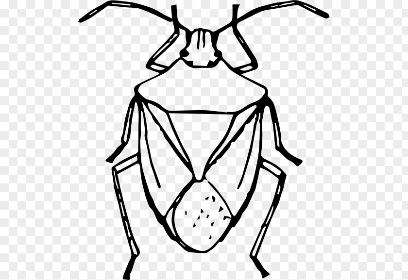 Insect Brown Marmorated Stink Bug Drawing Clip Art PNG Image - PNGHERO