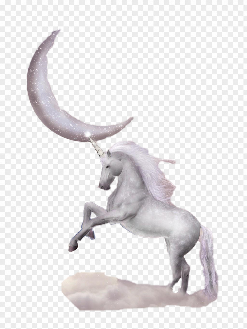 Moon Unicorn T-shirt Fairy Tale PNG