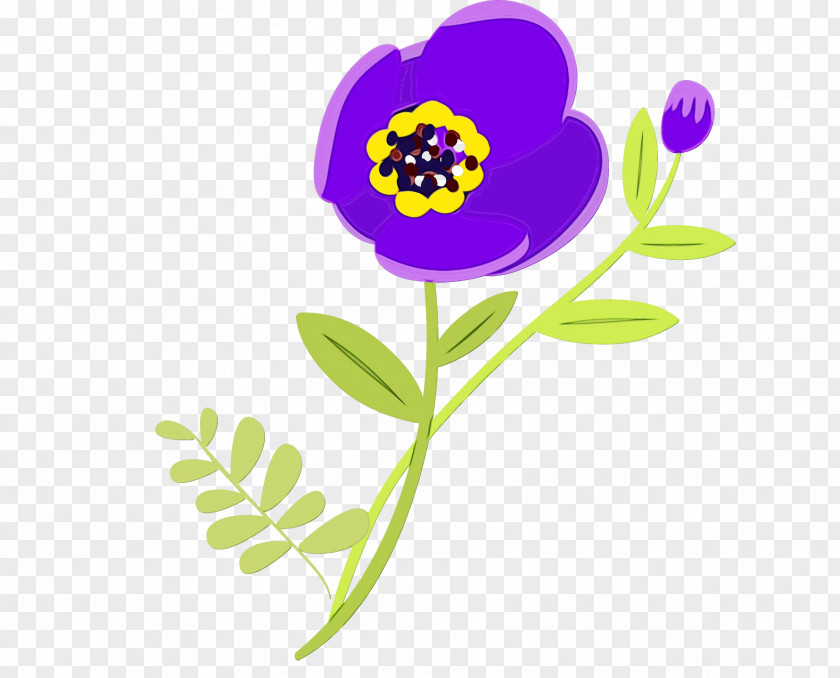 Plant Stem Cut Flowers Herbaceous Violet Flower PNG