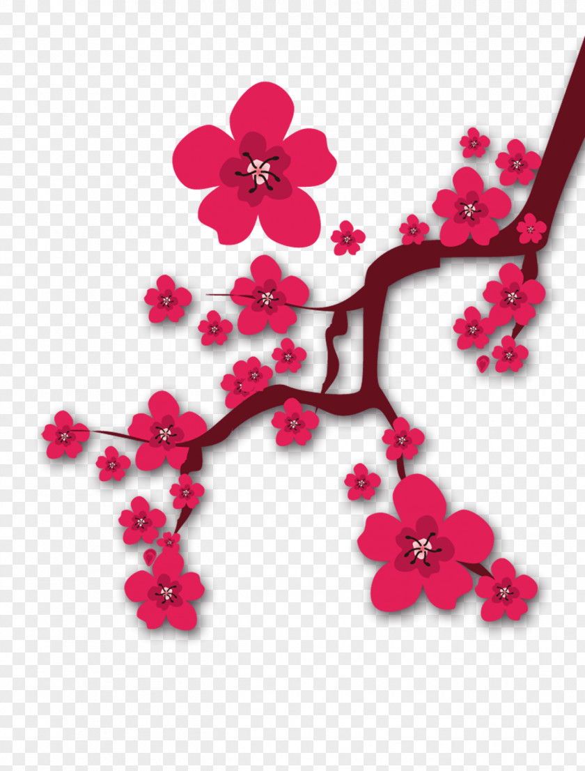 Plum Flower Chinese New Year Years Day Festival Lunar PNG