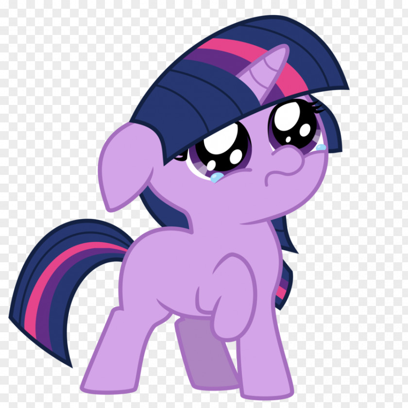 Sorry Twilight Sparkle My Little Pony Rainbow Dash Winged Unicorn PNG