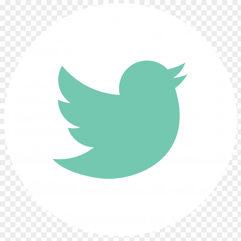 Streamlined Social Media Symbol User Pond5 PNG