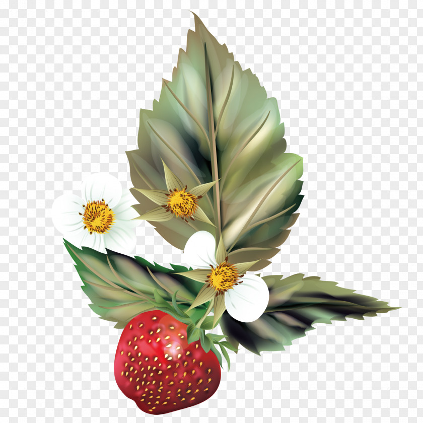 Vector Strawberry Tree Photography PNG