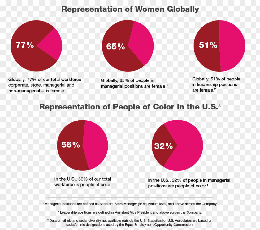 Workplace Bullying Quotes Diversity TJX Companies Statistics Recruitment PNG