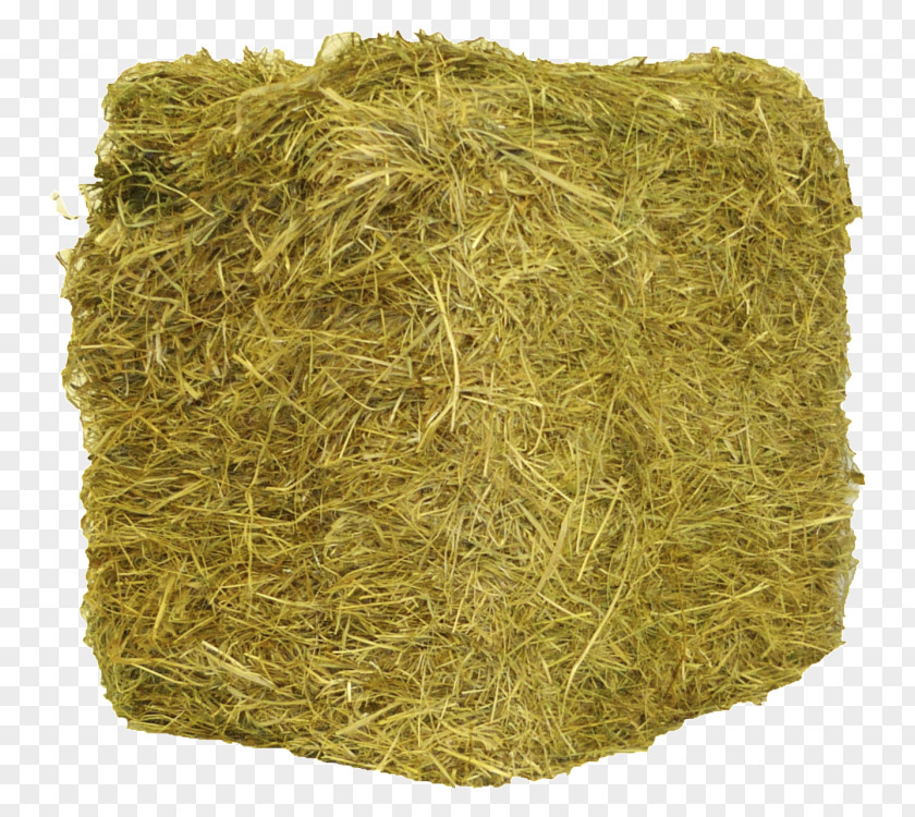 Barn Hay Straw Timothy-grass Baler Farm PNG