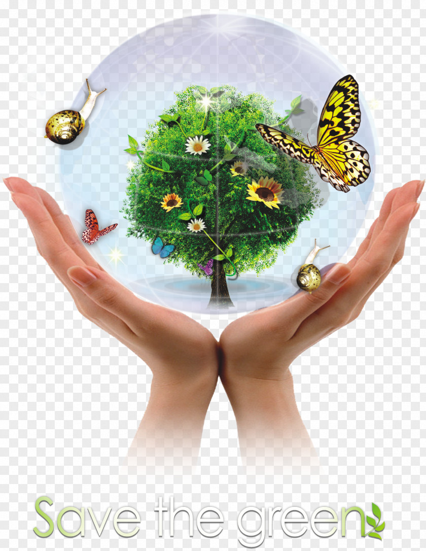 Environmental Protection PNG protection clipart PNG