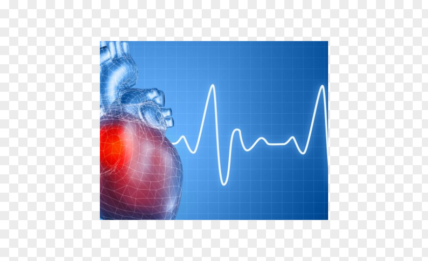 Heart Arrhythmia Disease Cardiology Ailment PNG