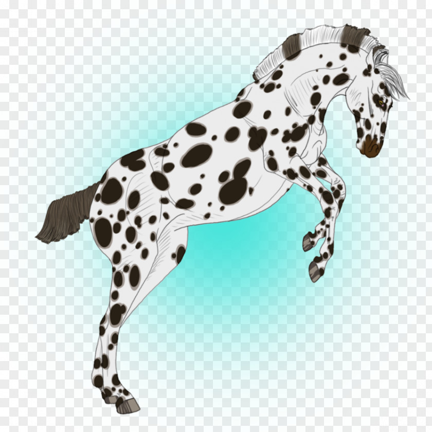 Horse Dalmatian Dog Breed Digital Art DeviantArt PNG