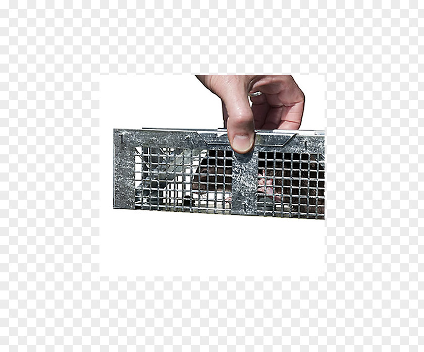 Mouse Trap Mousetrap Rodent Rat Trapping PNG