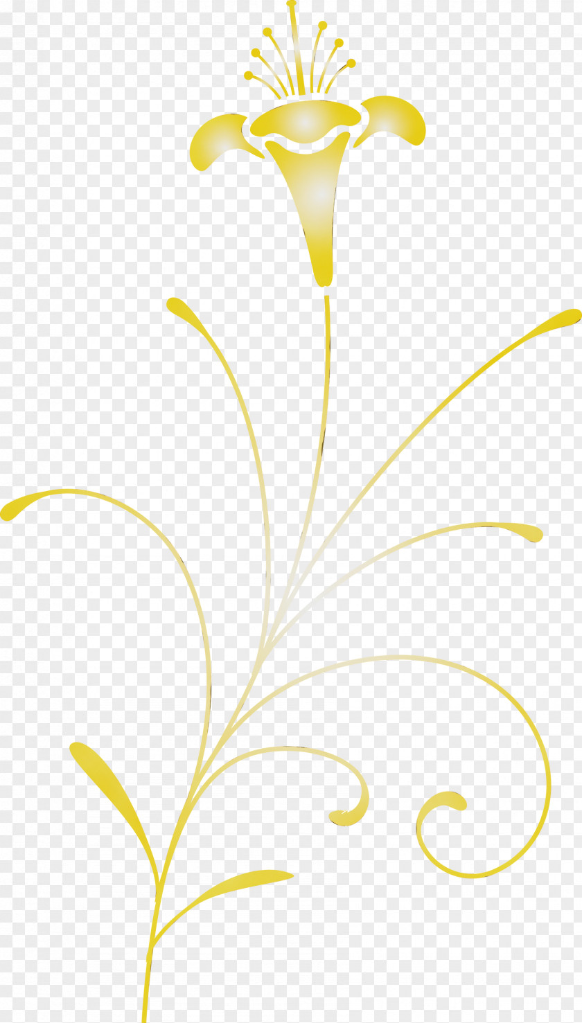 Yellow Plant Flower Pedicel Stem PNG
