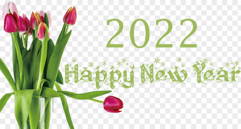 2022 Happy New Year PNG