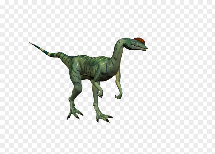 Dinosaurs Velociraptor Tyrannosaurus PhotoScape GIMP PNG