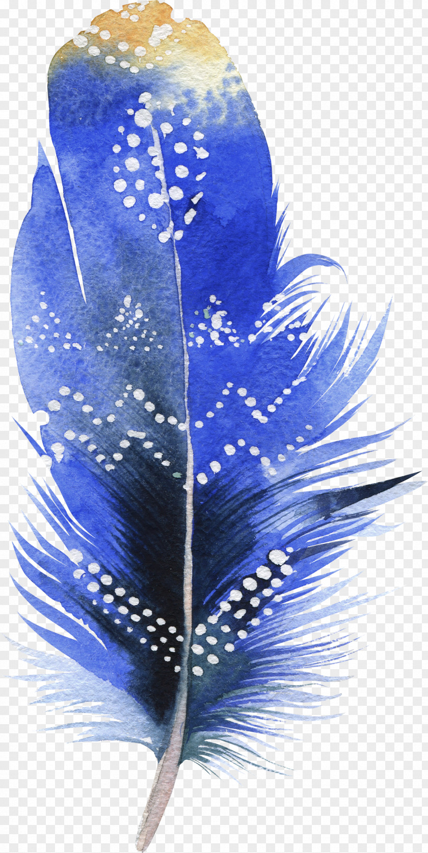 Feather Bird Watercolor Painting Drawing PNG