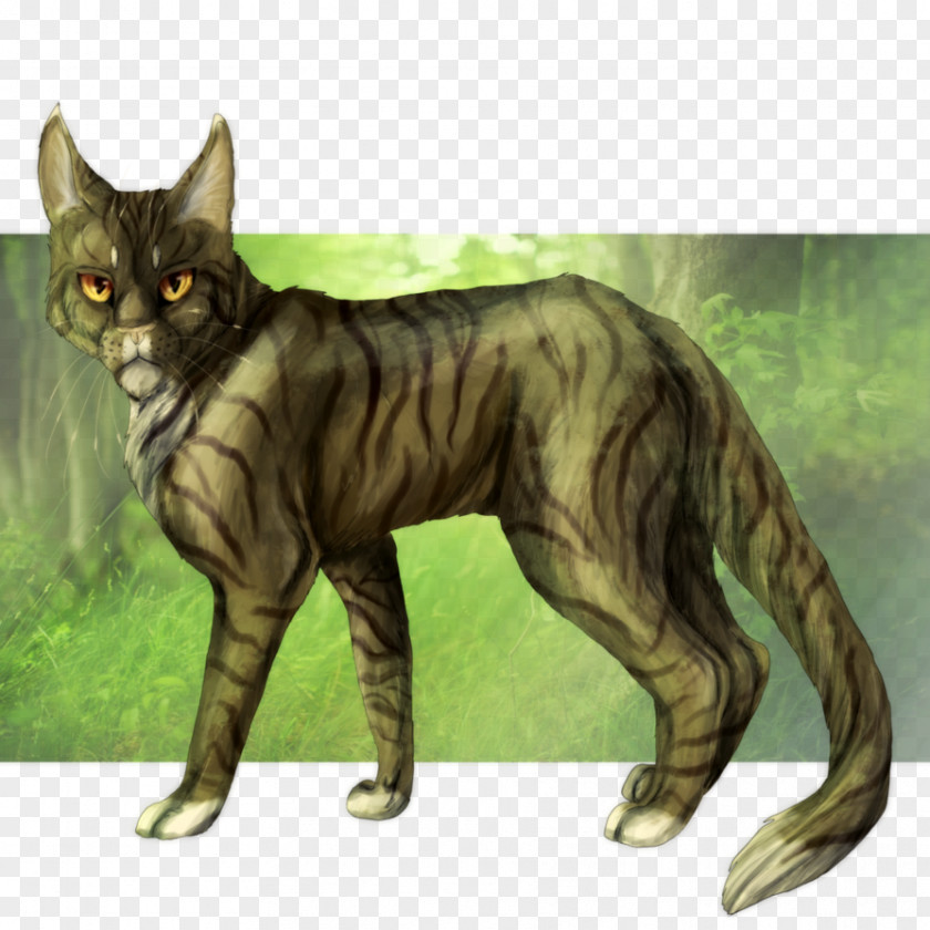 Cat Whiskers Domestic Short-haired Wildcat Character PNG