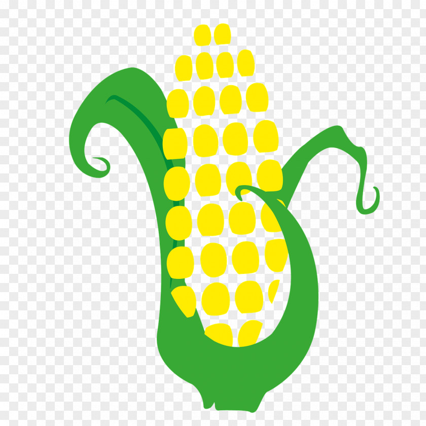 Corn On The Cob Drawing Maize Sowing Cereal Market Garden Food PNG