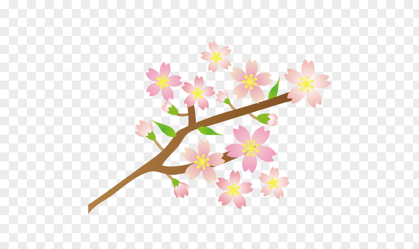 Flower Branch Illustration. PNG