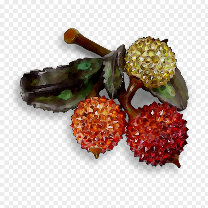 Jewellery Fruit Superfood PNG