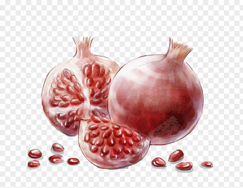 Watercolor Pomegranate Painting Auglis PNG