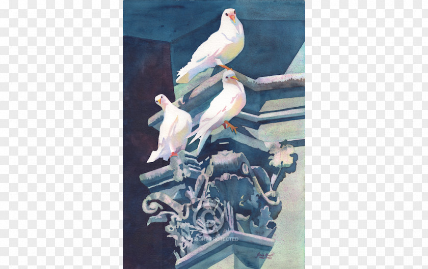Bird Watercolor Art Painting Anne Abgott Water Colors Sculpture PNG