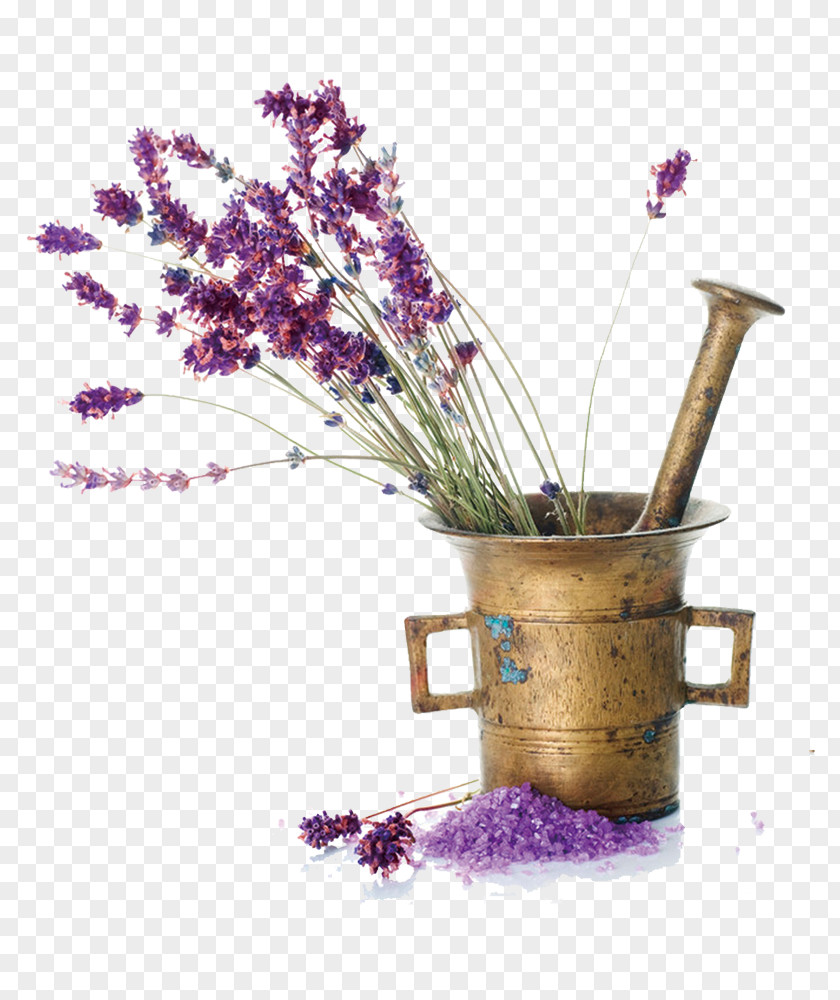 Lavender Oil Escents Aromatherapy Essential Odor PNG
