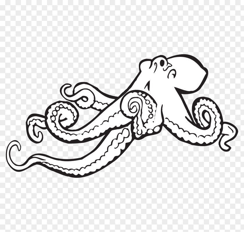 Make A Coloring Book Octopus Black And White Monochrome Clip Art PNG