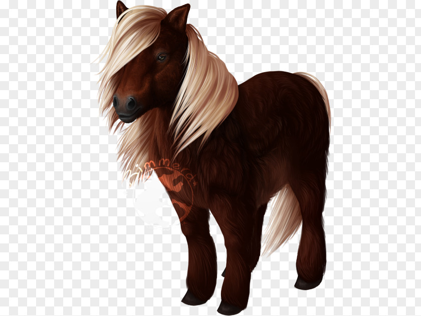 Mustang Shetland Pony Mane Howrse PNG