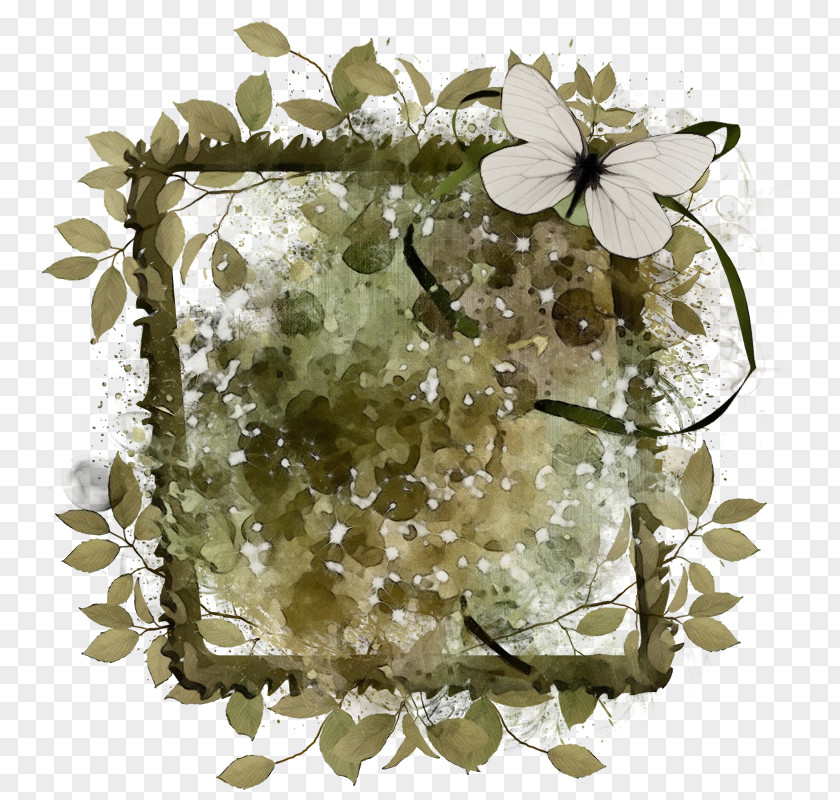 Petal Floral Design PNG