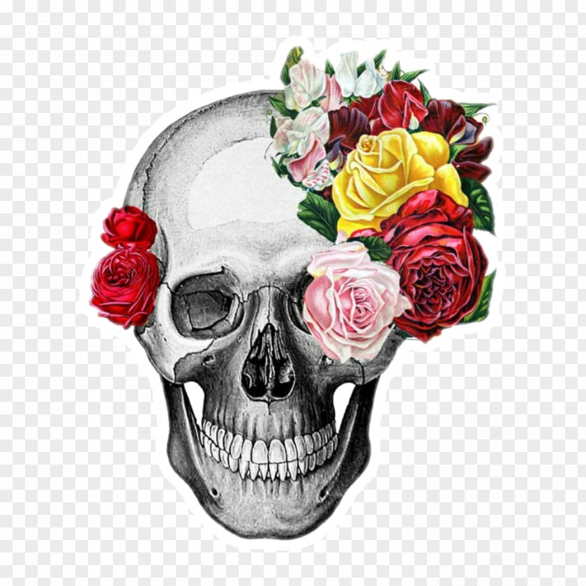 Skull Human Symbolism Flower Drawing Printing PNG
