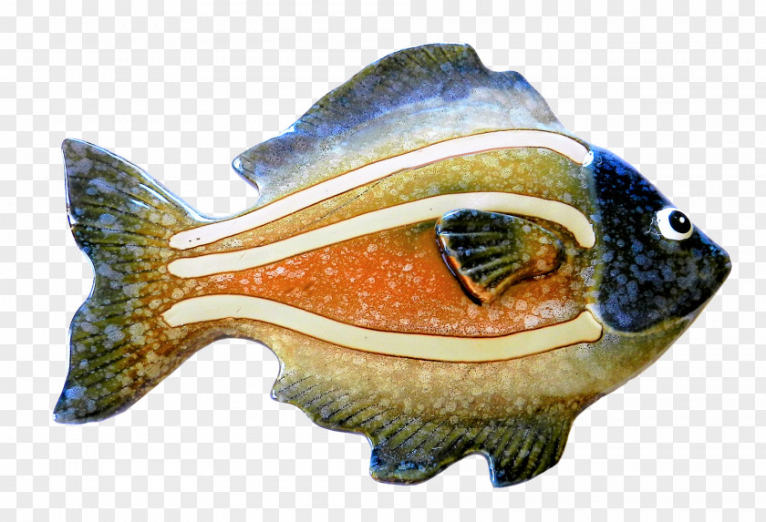 Bluegill Fish PNG
