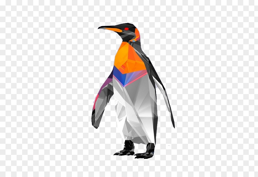 Color Penguin Bird Polygon Geometry Wallpaper PNG
