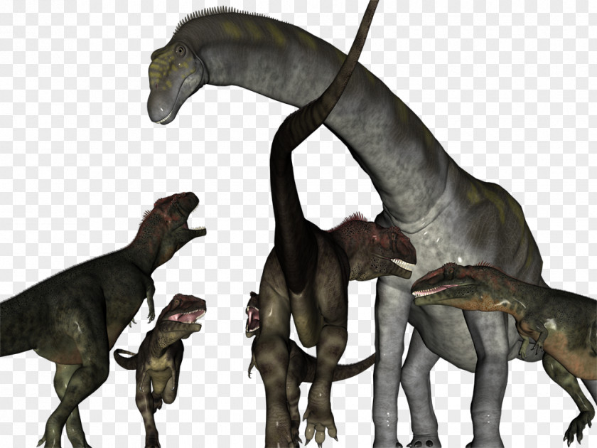 Dinosaur Velociraptor Carcharodontosaurus Tyrannosaurus Mapusaurus Spinosaurus PNG