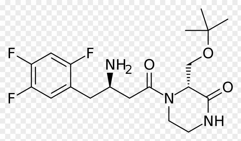 Dipeptidyl Peptidase-4 Inhibitor Riboflavin Oxamniquine Pharmaceutical Drug Chemistry PNG