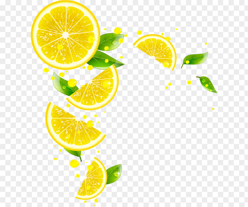 Fresh Lemon Orange Fruit Vector Material Juice Lemonade Mandarin PNG