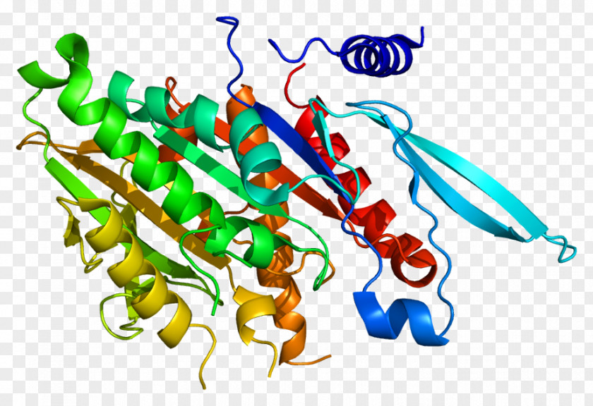 KIF2C Kinesin Gene Kinetochore CKAP5 PNG