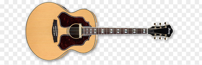 Acoustic Guitar Acoustic-electric Bass Tiple PNG