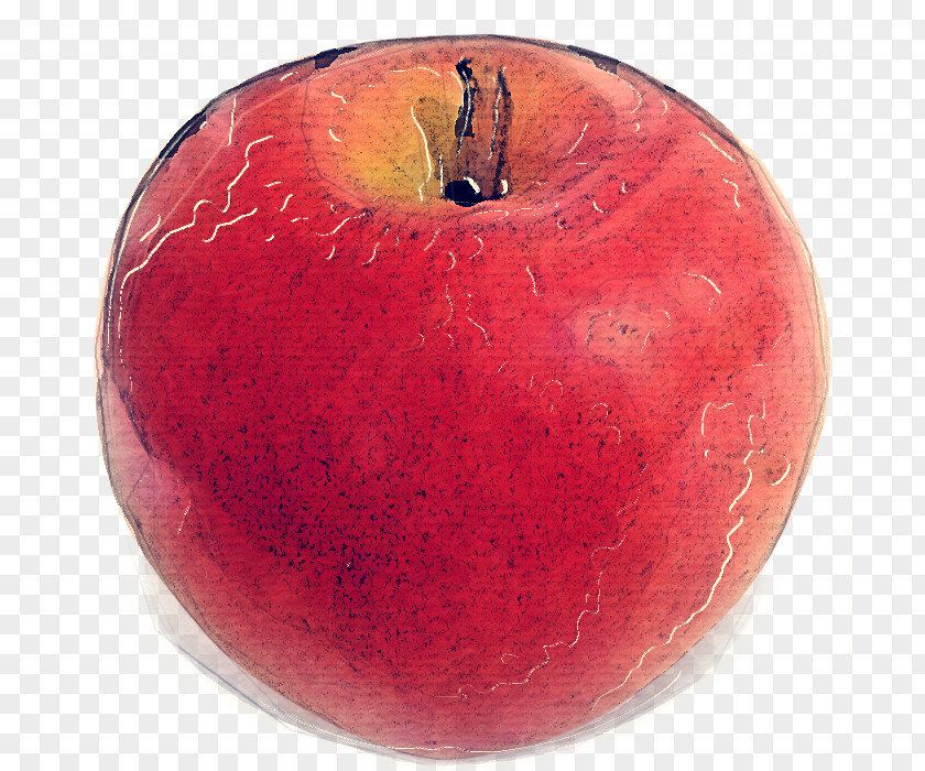 European Plum Seedless Fruit Apple Plant Food Accessory PNG