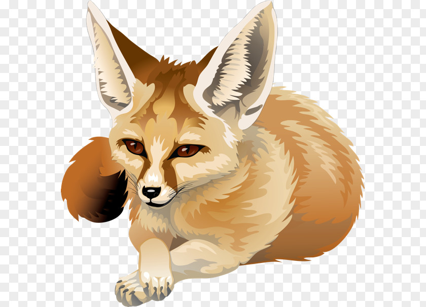 Fennec Fox Red Canidae Clip Art PNG