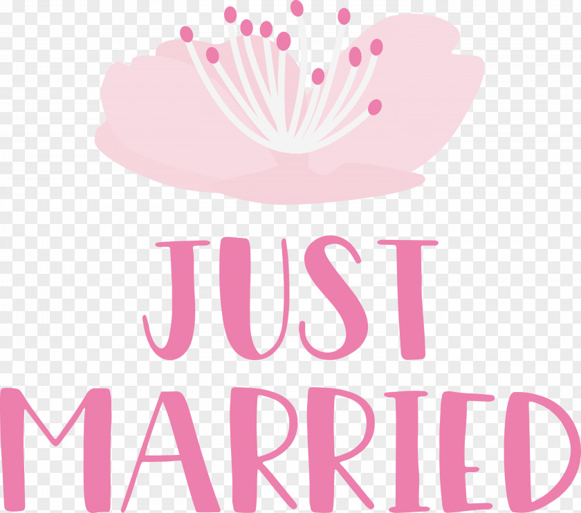 Just Married Wedding PNG