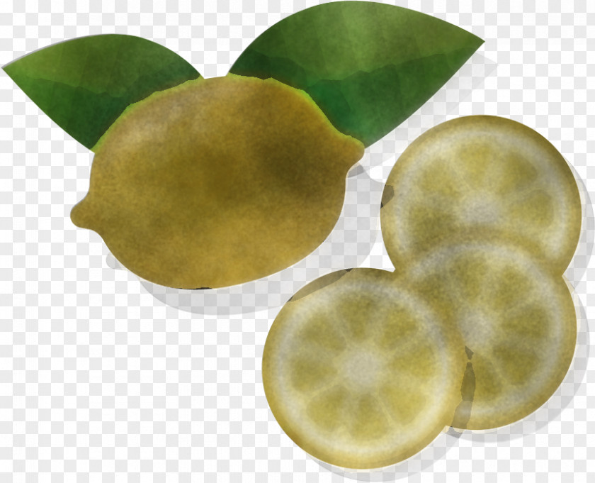 Lemon Fruit Citrus Lime Persian PNG